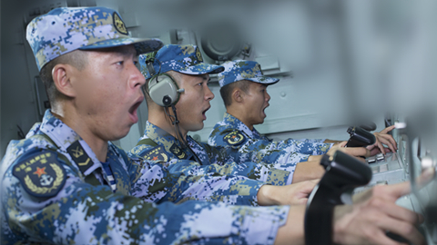 海軍?？谂炇抗偃后w：挺進(jìn)深藍(lán)的“定海神針”