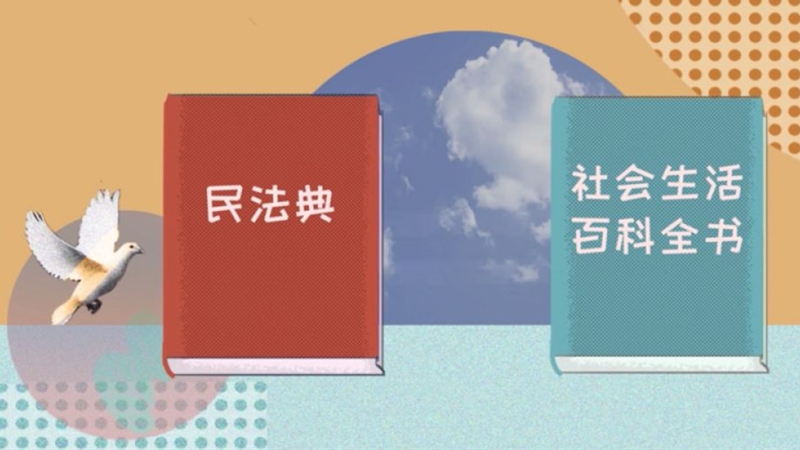 寫在民法典通過(guò)之際：法治建設(shè)的里程碑
