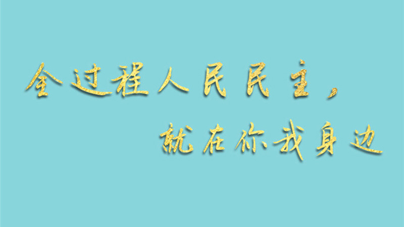 兩會(huì)手繪長卷：全過程人民民主，就在你我身邊